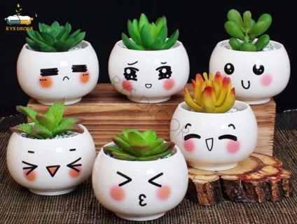 Đừng nghĩ đến trang trí cửa sổ bằng cây xanh khi chưa đọc bài viết này