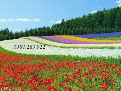 Tranh gạch ốp  tường trang trí vườn hoa