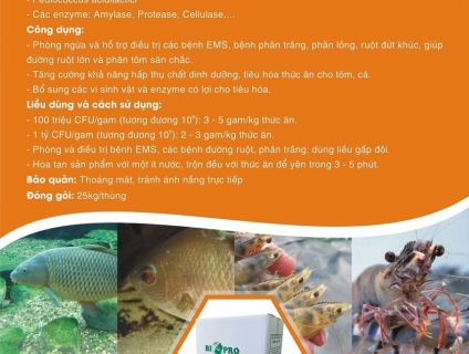 Men tiêu hóa giúp đường ruột tôm to, đẹp, khỏe