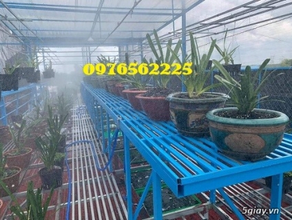 Thiết kế mẫu giàn treo hoa lan đẹp,  giàn lan trên sân thượng.