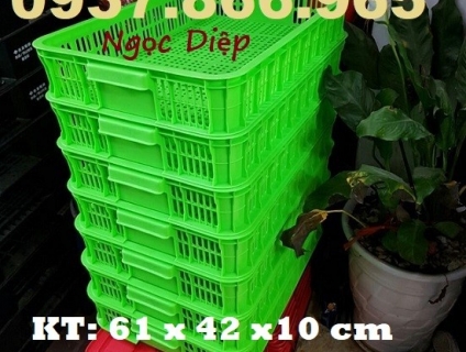 Sọt nhựa đựng rau củ, sóng nhựa rỗng HS010