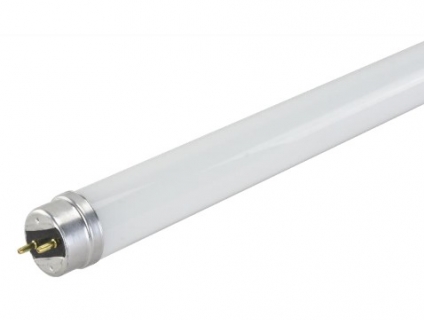 Đèn led tiết kiệm điện Bóng đèn Led T8 1,2m ánh sáng Trắng