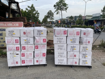 Nẹp nhựa PVC Rumi 620