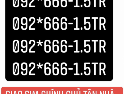 Tứ quý 1.5tr giao sim tận nhà kt sim ok mới phải giao tiền