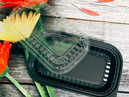 Hộp Cơm Nhựa HT17 1 Ngăn