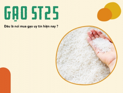 Nơi cung cấp gạo ngon ST25 chính hãng