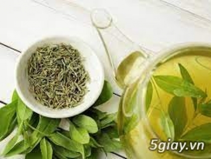 Trà hoa lài và các lợi ích cho sức khỏe của bạn