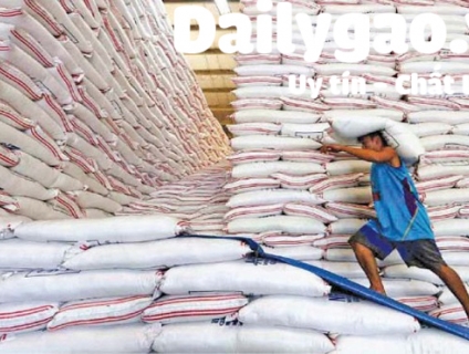 Nguồn gạo giá sỉ cho đại lý tại TP.HCM