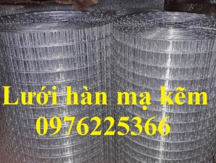 Lưới thép hàn mạ kẽm D2 A25X25, D3 A50X50, D4 A50X50