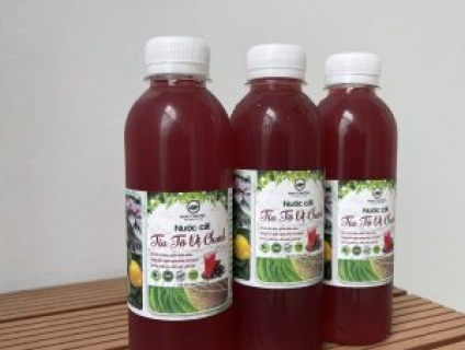 Nước tía tô - giải pháp nâng cao sức đề kháng mùa dịch