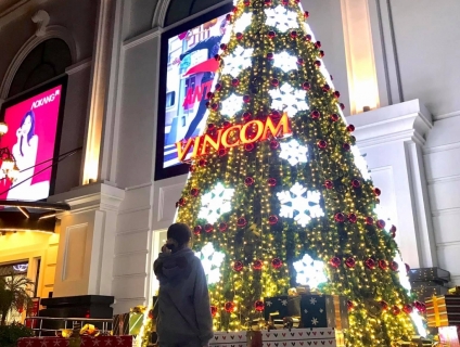 Cây thông noel cỡ lớn- Cây thông khổng lồ