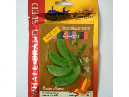 CHUYÊN SỈ LẺ CÁC LOẠI HẠT GIỐNG MIỀN NAM