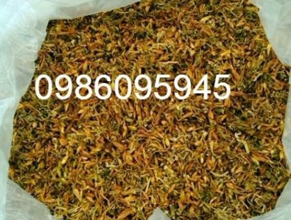 chỉ 450 nghìn 1kg hoa đu đủ khô xanh sạch