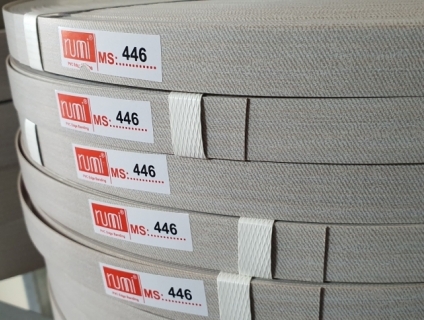 Nẹp nhựa Rumi 446