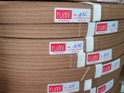 Nẹp nhựa Rumi 436