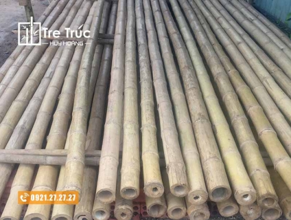 Địa chỉ cung cấp cây tre luồng giá rẻ chất lượng tại TPHCM