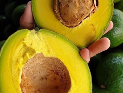 Cung cấp Bơ booth giá sỉ