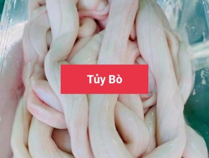Tuỷ Bò( Tủy Bò )