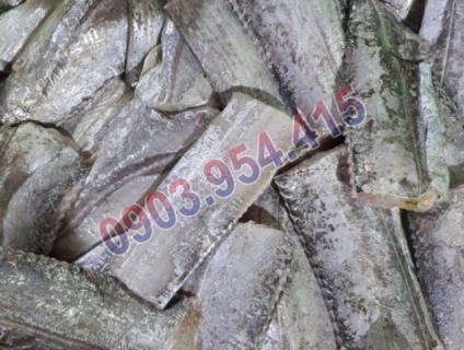 Cần bán cá hố cắt khúc chiếc khấu cao cho cty suất ăn