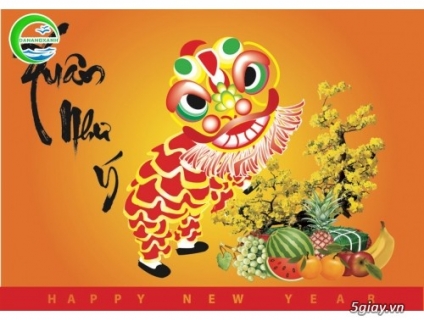 Tour Đà Nẵng tết 2023