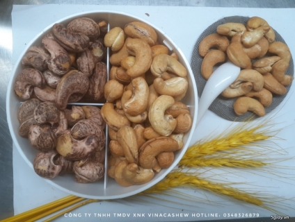 Hạt điều tách vỏ của Vinaca