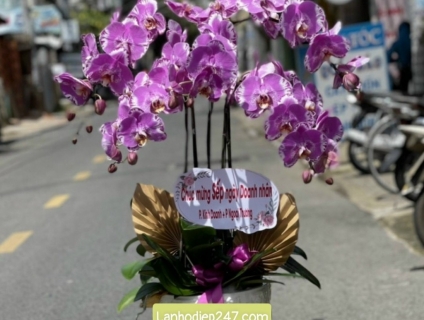 Dịch vụ điện hoa uy tín sài gòn chuyên hoa lan hồ điệp cao cấp