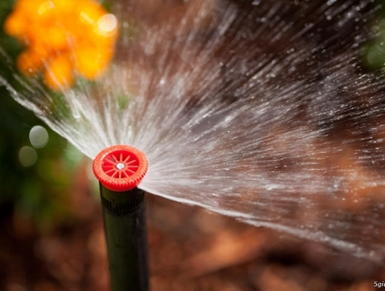 Vòi phun Psu 04 hunter mỹ, Vòi phun Psu 06 hunter mỹ