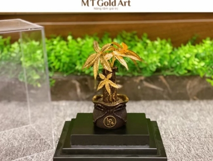 chậu cây kim ngân dát vàng- quà tặng cao cấp, ý nghĩa tặng sếp