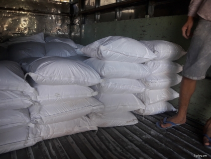 Bán các loại cát trắng – Loại hàng xuất khẩu