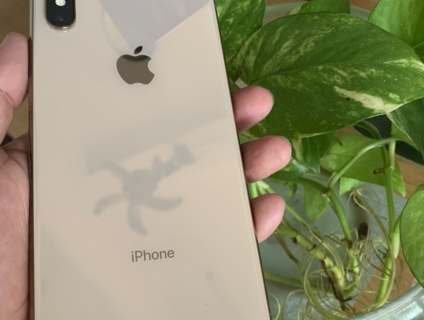 Xs Max 256gb - Ipad Air 2 4G - Air 1 Wifi - Mini 2 Wifi