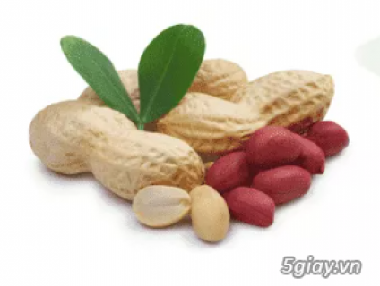 Thủ tục nhập khẩu đậu phộng_Lạc