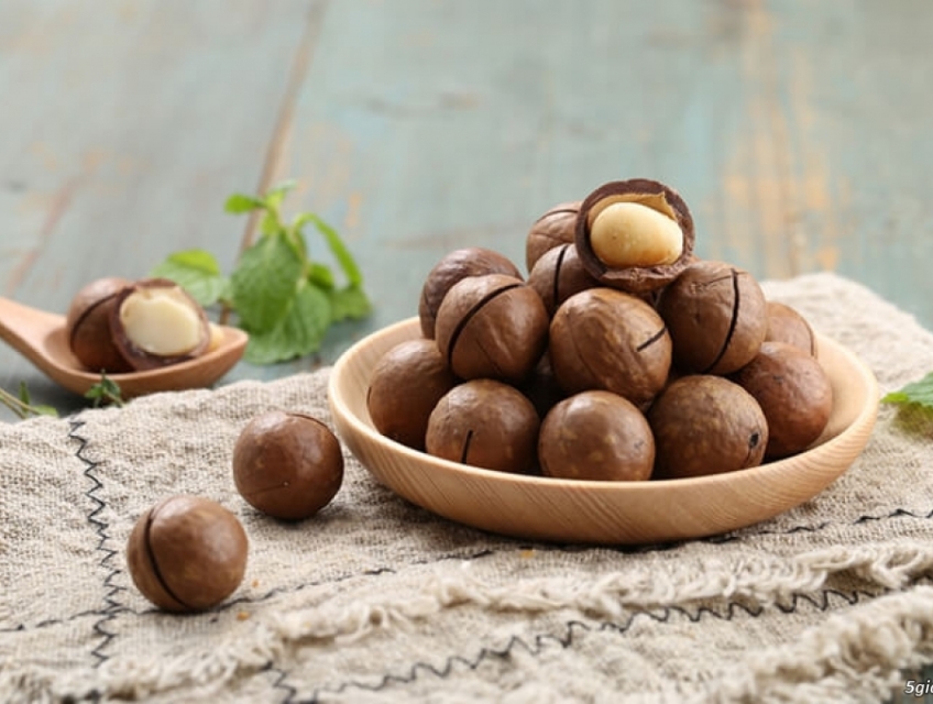 Những điều bạn nên biết về Hạt Macca