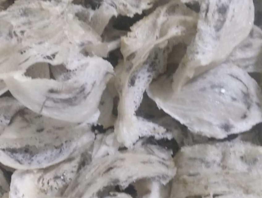 Hành trình ra đảo khai thác tổ yến Thiên Thanh