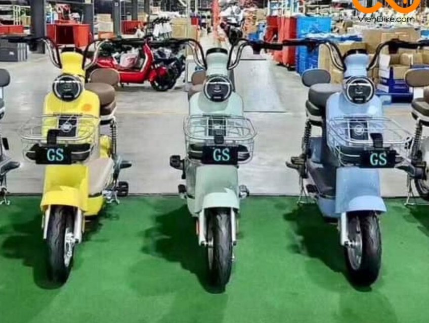 Xe đạp điện TPHCM