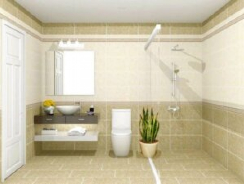 Những sai lầm khi trồng cây lưỡi hổ mà bạn nhất định phải biết