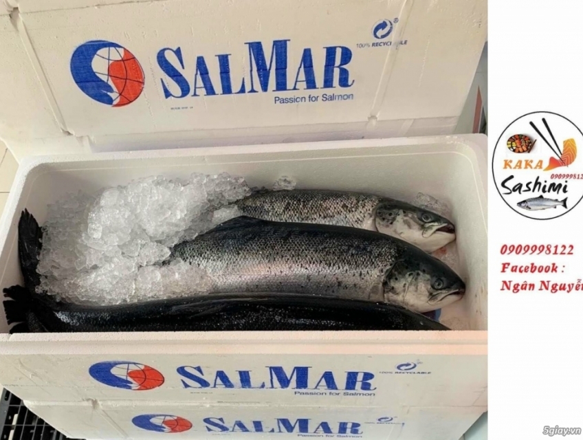 Cung cấp hải sản Nhật sỉ và lẻ