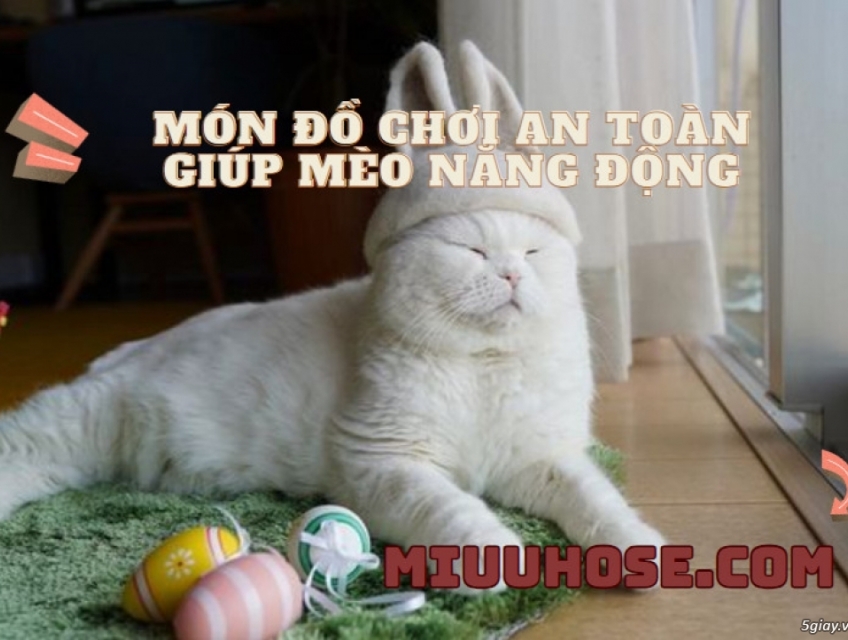 Gà bông Action Plush - Sự giải trí hoàn hảo cho thú cưng!