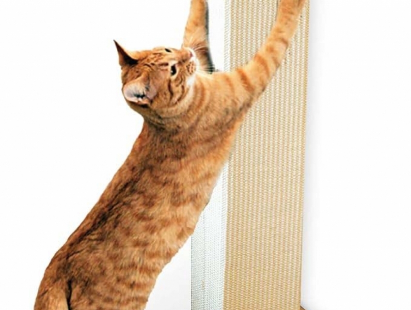 Trụ cào xước SmartCat Ultimate