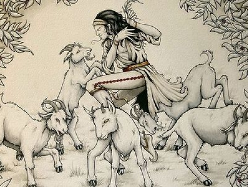 Tổng hợp về cà phê bạn nên biết