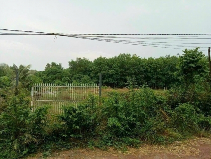 Cần tiền Bán gấp lô đất Bến Đình, TT.Bến Cầu, Bến Cầu, Tây Ninh