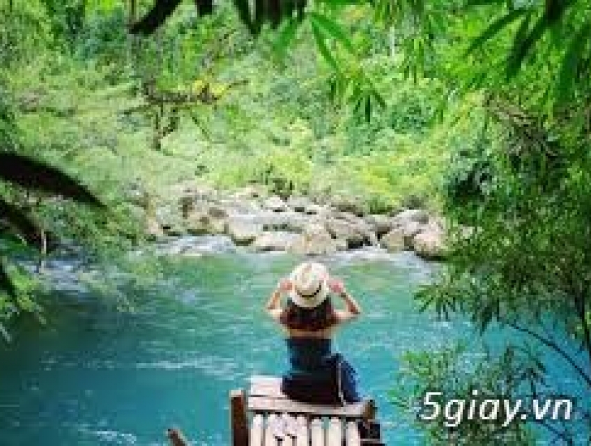 Khám Phá Hành Trình Độc Đáo với Tour Du Lịch Quảng Bình - Tận Hưởng Vẻ