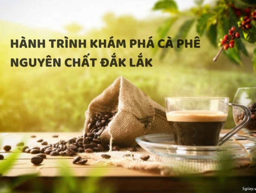 Khám Phá Hương Vị Tuyệt Vời Của Cà Phê Nguyên Chất Đăk Lăk