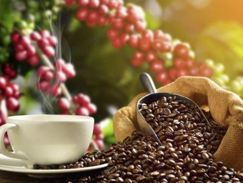 Tìm hiểu về rang xay cà phê