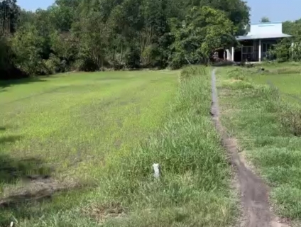 Bán lô đất 1791m2 full thổ cư xã Mỹ Lệ, Cần Đước, Long An