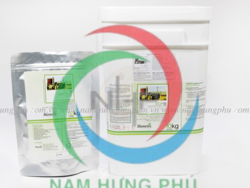 BCP 12: Men Vi Sinh Cho Bể Kỵ Khí, Phân Hủy Chất Béo