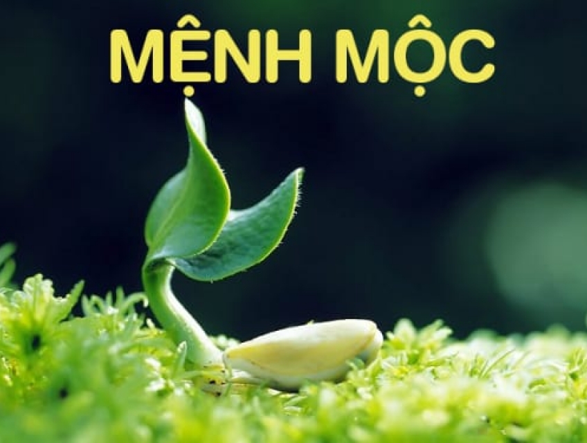 Kính ốp bếp màu xanh đen: Sự lựa chọn độc đáo cho người mệnh Mộc