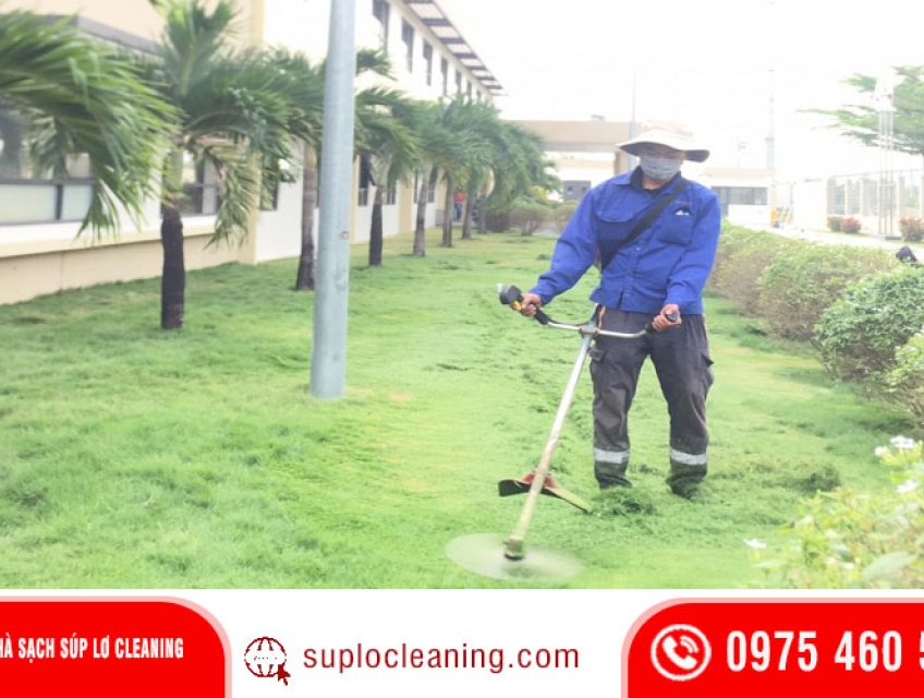 Dịch vụ cắt cỏ sân vườn tại Hà Nội chuyên nghiệp