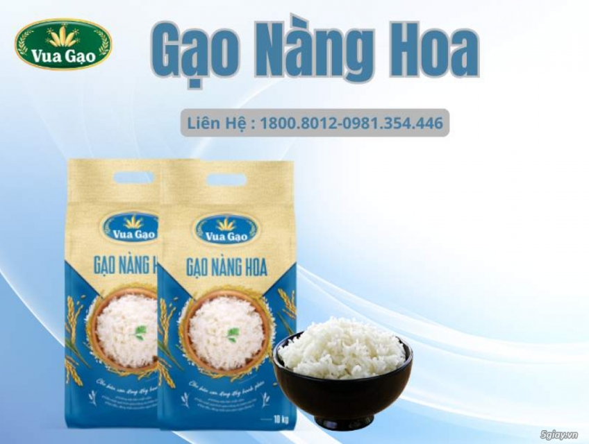 Giá gạo Nàng Hoa bao nhiêu?