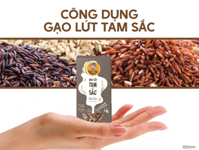 GẠO LỨT TAM SẮC LÀ GÌ? NHỮNG LỢI ÍCH CỦA GẠO LỨT TAM SẮC