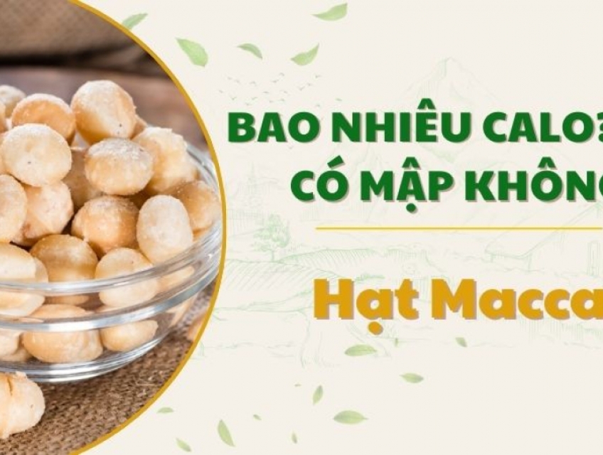 Hạt Macca bao nhiêu calo? Ăn có mập không?